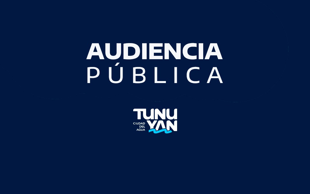 Audiencia Pública