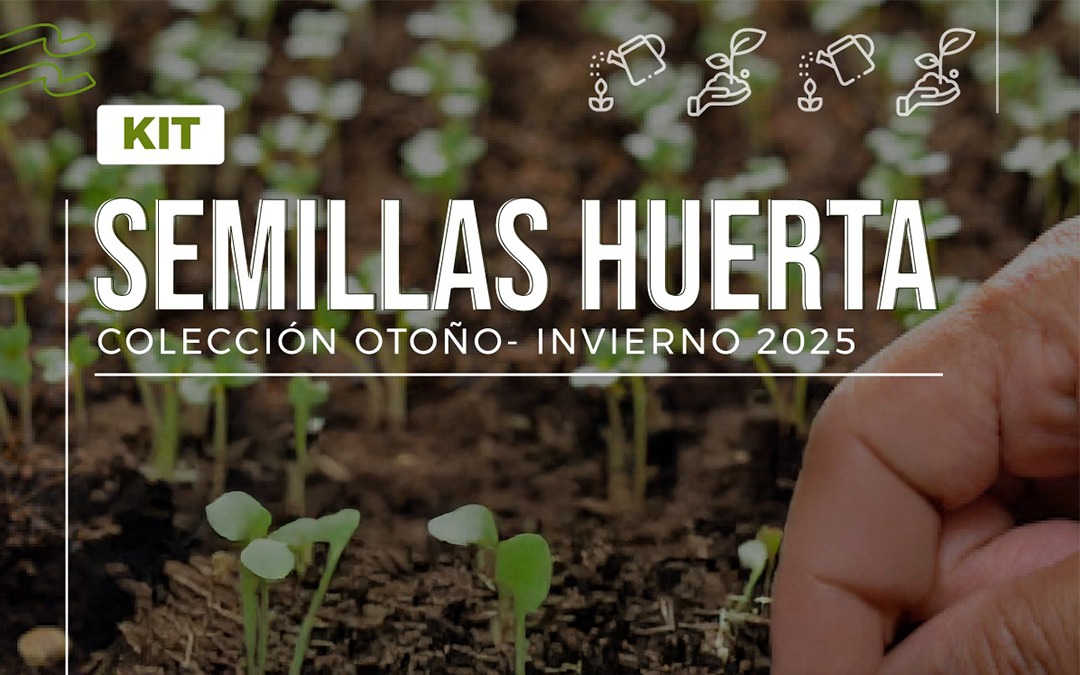 Comienza la entrega de semillas del programa “Huertas Familiares Agroecológicas 2025”