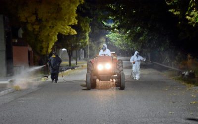 Cronograma de fumigación contra la chinche del arce