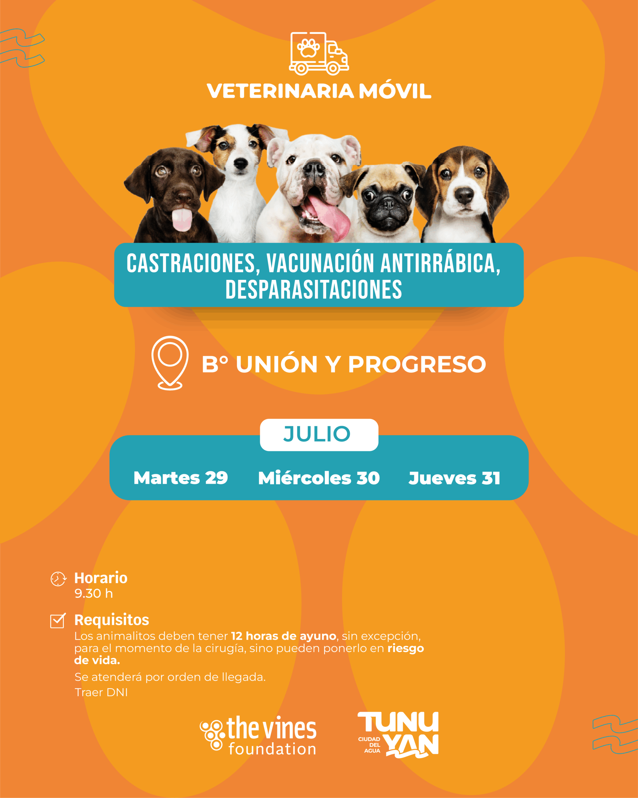 Calendario_Castraciones_UNION_Y_PROGRESO_WEB