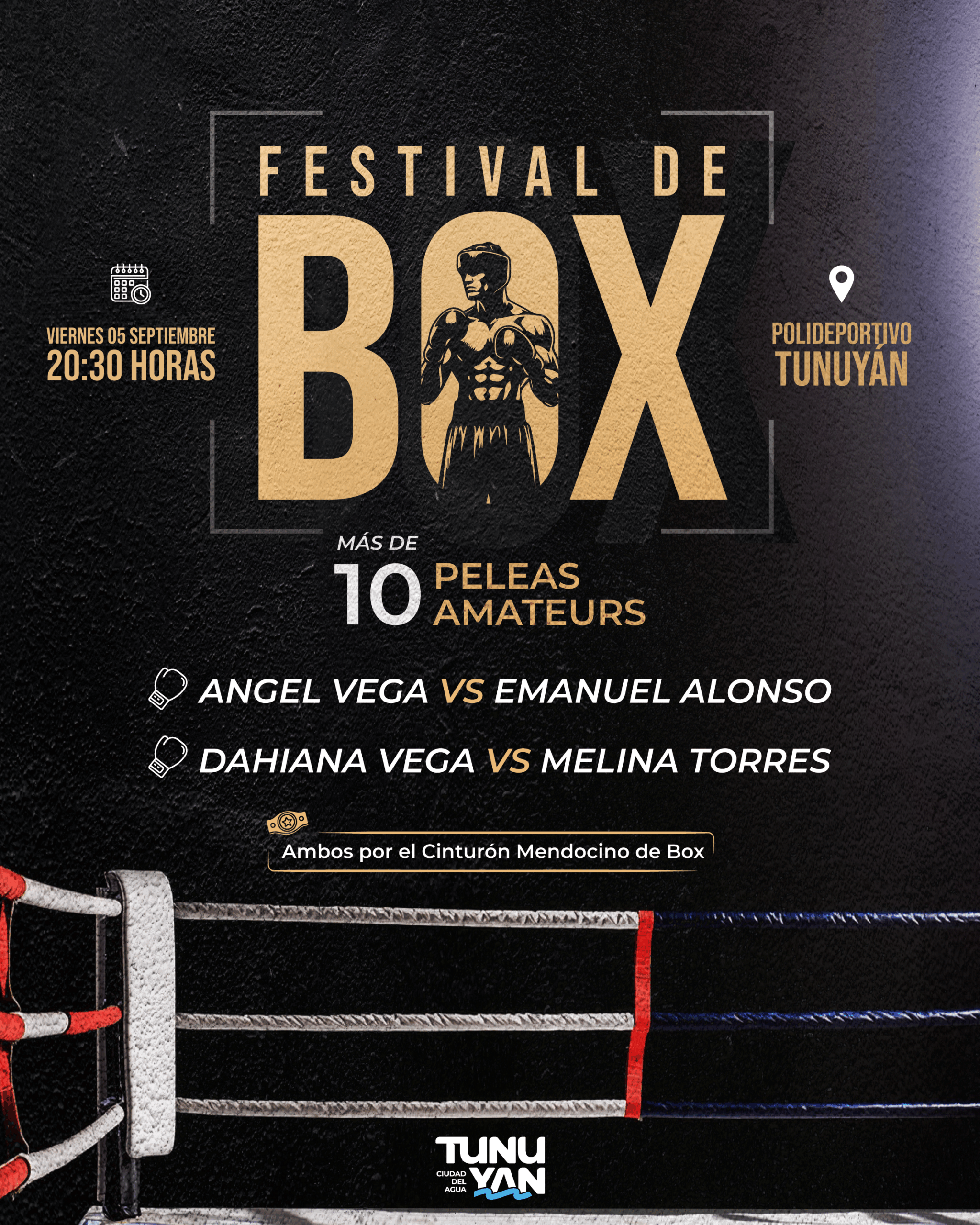 Festival de Box 05 Septiembre