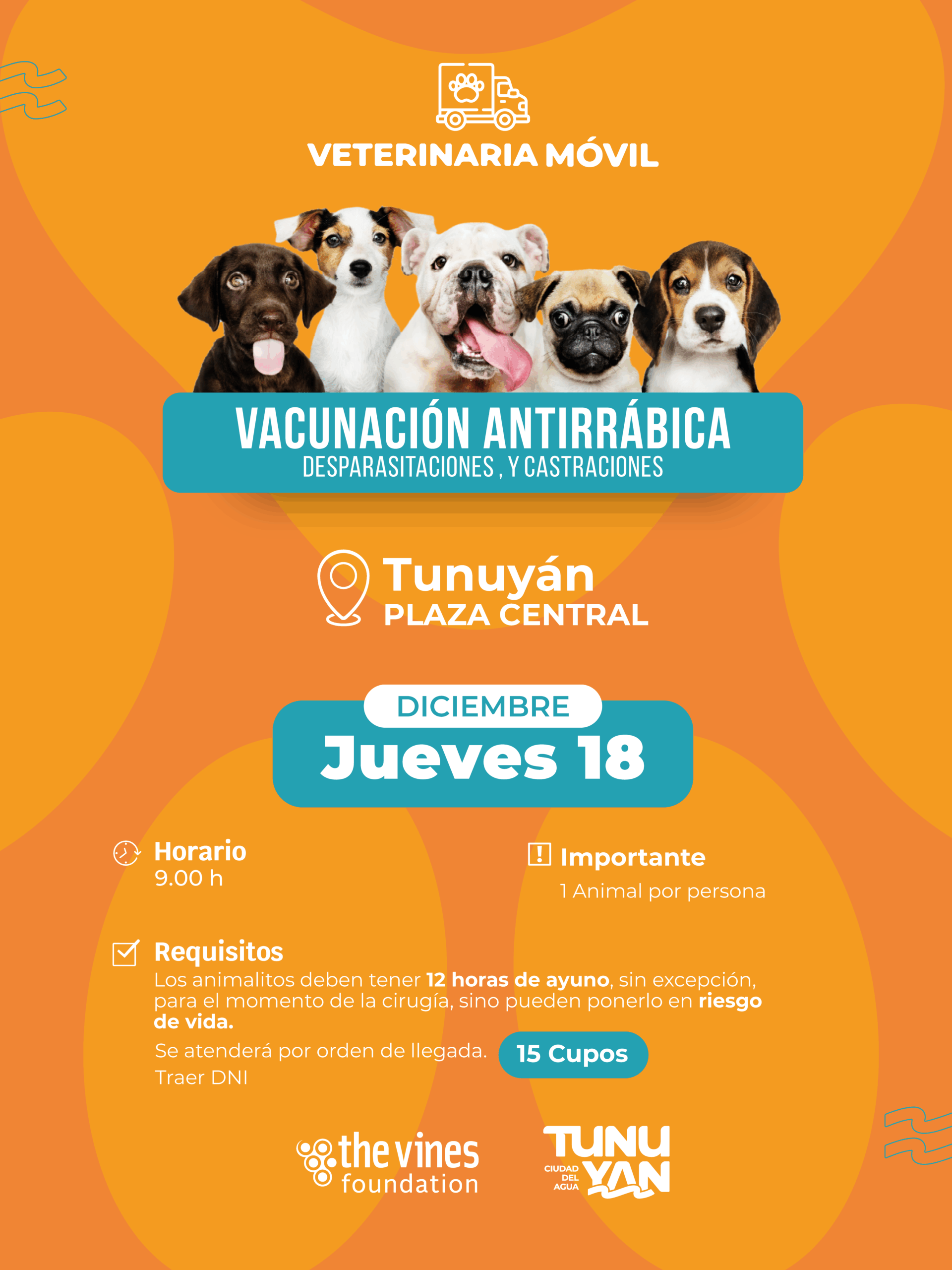 Vacunacon antirrabica-02