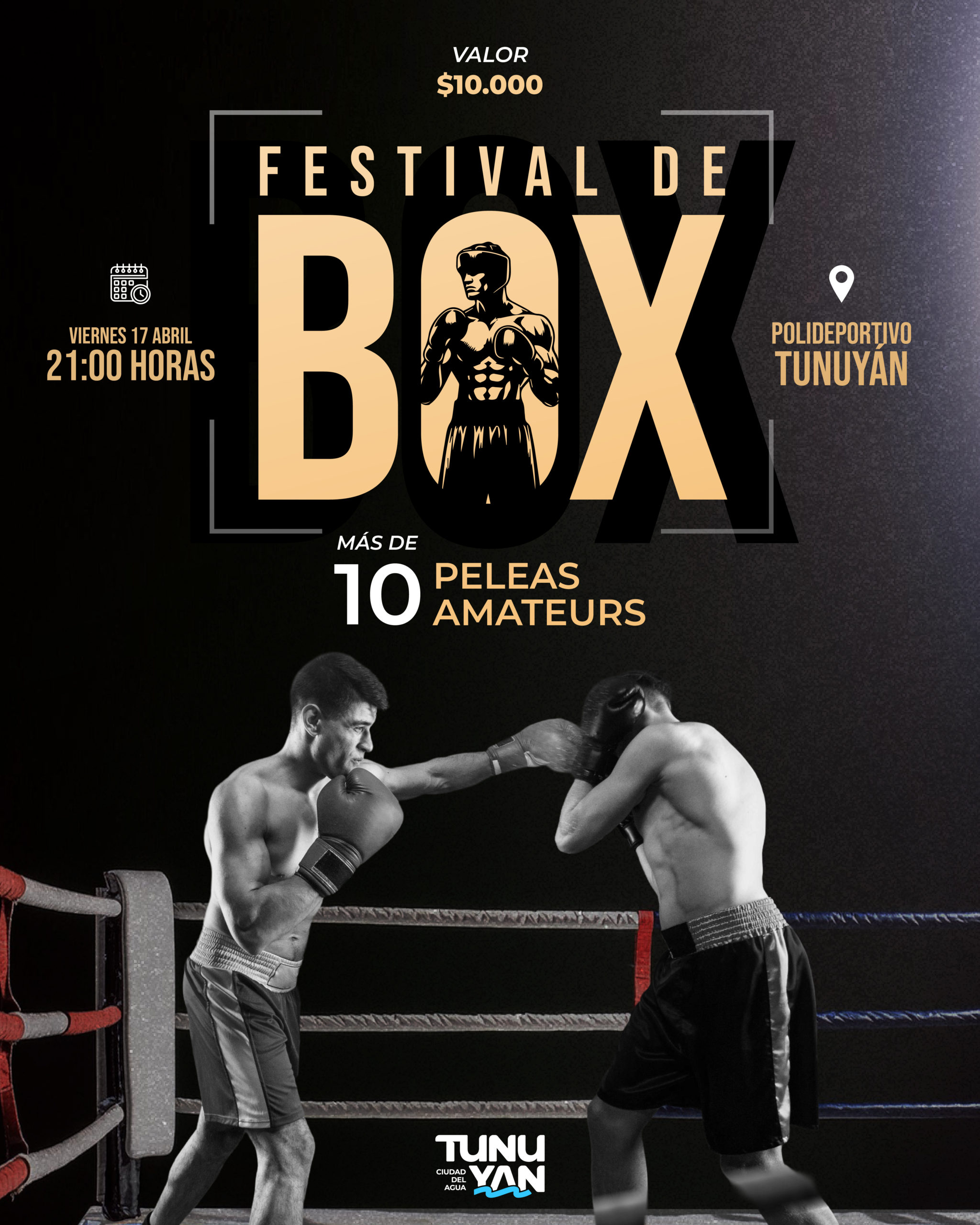 Festival de box