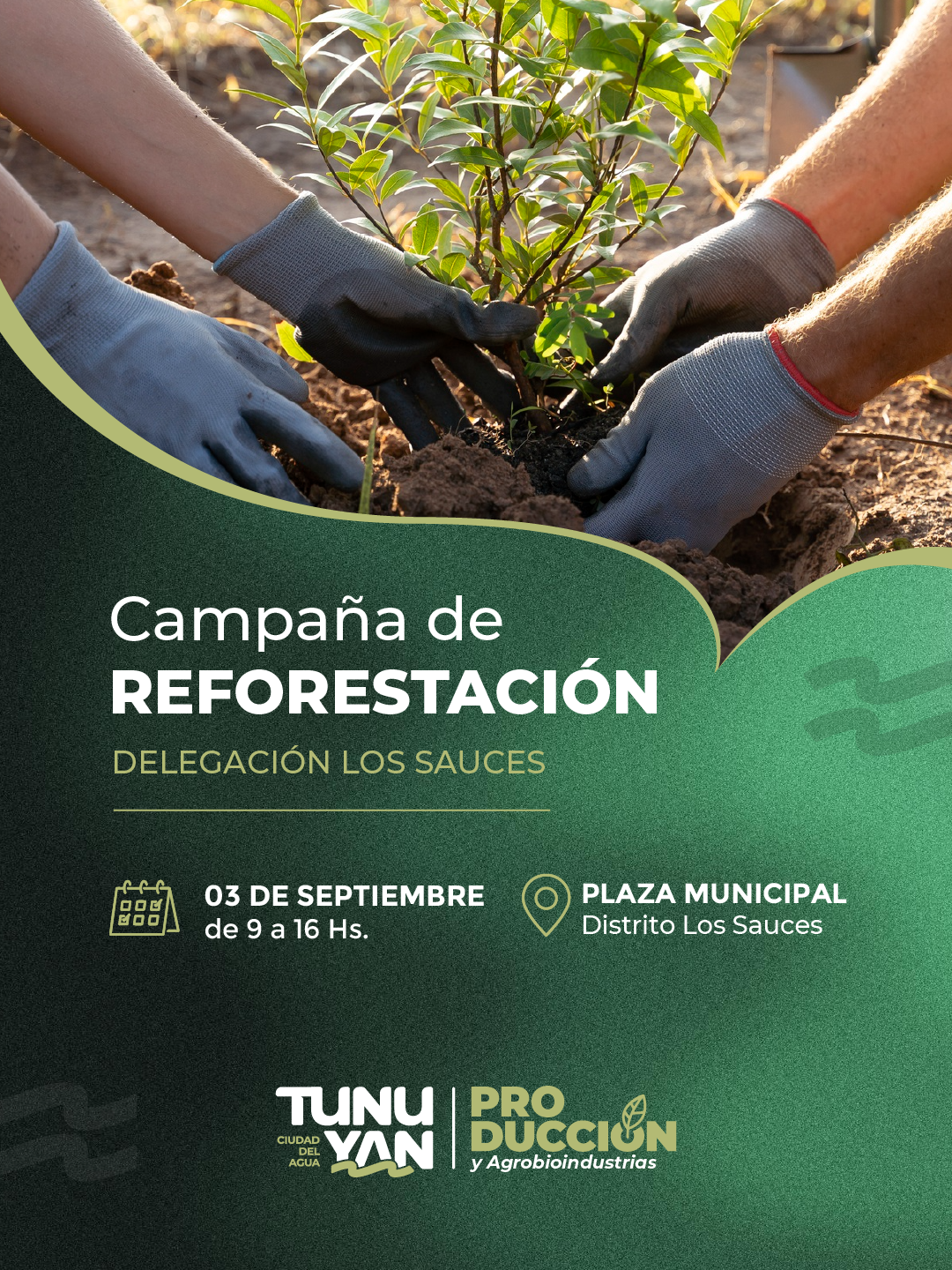 campaña de reforestación